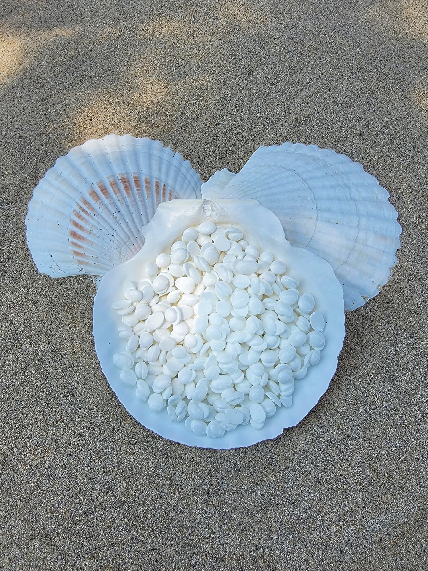 San Clemente Coconut Hard Wax 22lbs